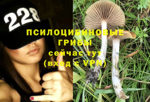 гидропоника Бронницы