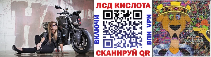 наркошоп  hydra как зайти  Наркотические марки 1500мкг  Брянск 